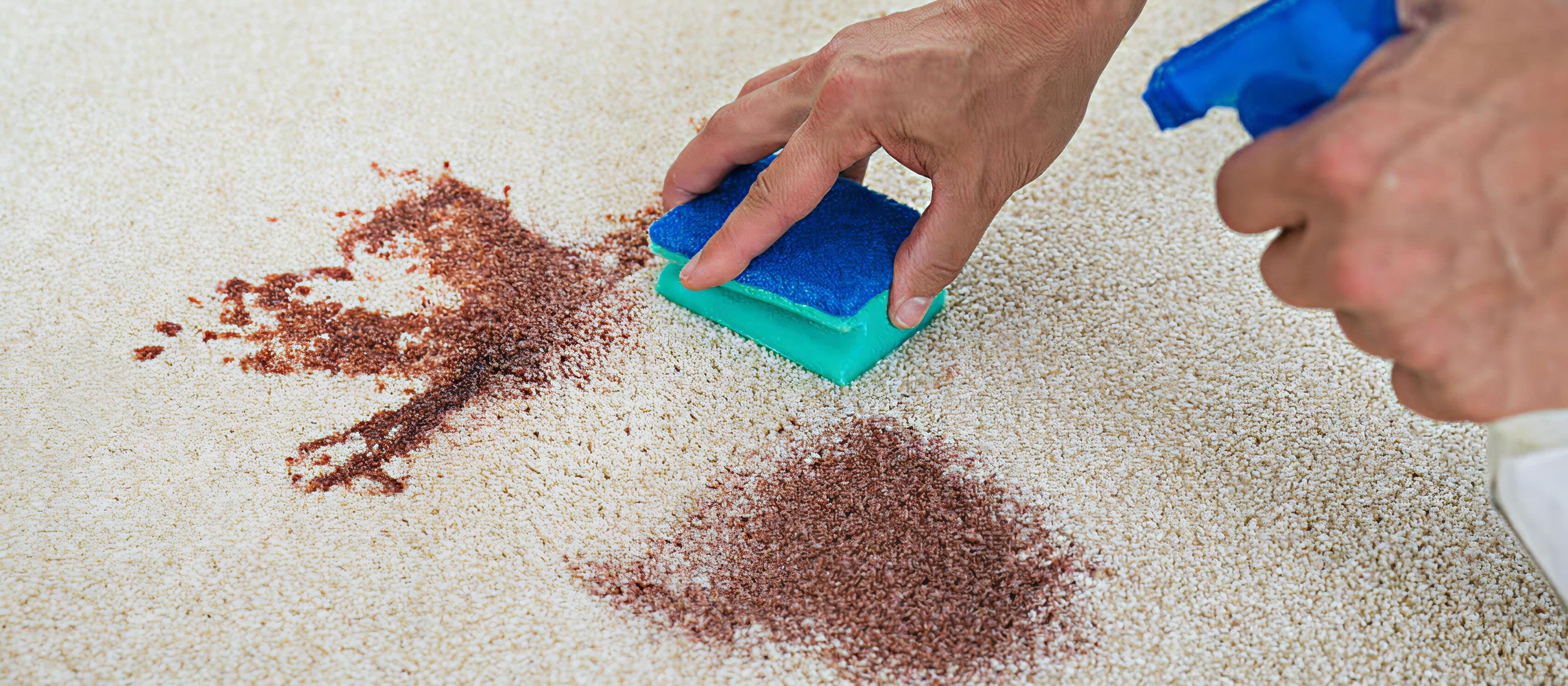 Stain Removal in Port Moody: What Homeowners Need to Know Before Booking